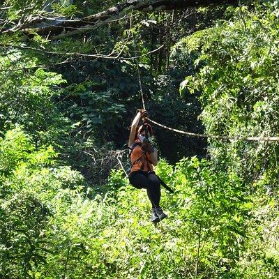 Costa Rica Monkey Jungle Zipline from Tamarindo