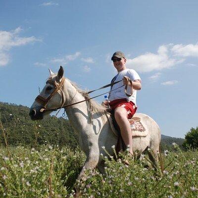 Horse Riding Tour in Bodrum with Hotel Pick Up