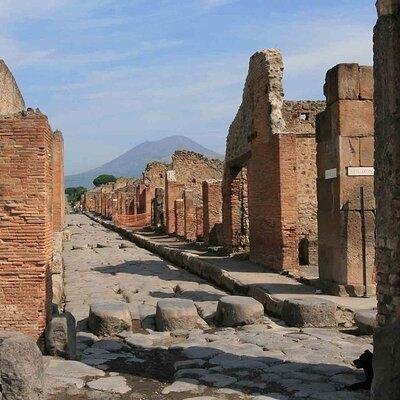 Pompeii & Herculaneum Day Trip from Naples with Lunch 