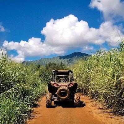 Kauai ATV Tour: Historic Sugar Cane Roads & Koloa Town Adventure