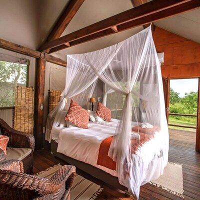  3 Day Luxury Tented Kruger Safari from Johannesburg