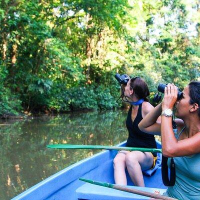 Tortuguero: All-inclusive Package 2 nights 3 days from San José