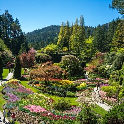 Butchart Gardens and Victoria Sightseeing Tour from Vancouver