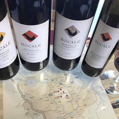 Tasting Selection of 4 wines in Montefalco 