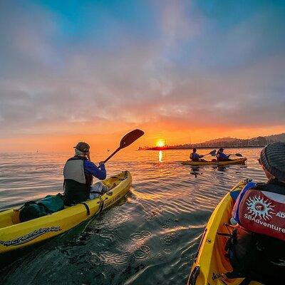 Sunset Kayak Tour of Santa Barbara with Knowledgeable Guide