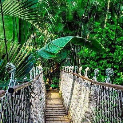 3 in 1 Combo: La Fortuna Waterfall, Hanging Bridges, Thermal Spa from San José