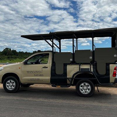 Small-Group Full-Day Safari Tour in Kruger National Park