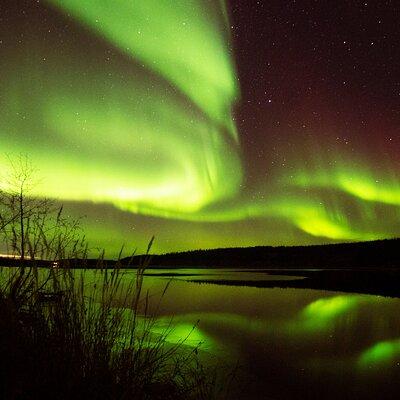 The Greatest Valuable Aurora Manor & Hunting Tour --Exclusive Tour Operator