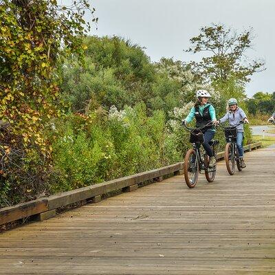 Hilton Head Guided Pedego Electric Bike Tour