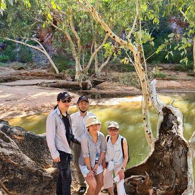 East MacDonnell Ranges Half day Tour -Small Group