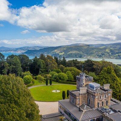 Cruise Dunedin City and Castle Tour