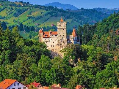 Bucharest to Dracula Castle, Peles Castle and Brasov Guided Tour