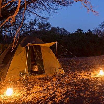 3 Day Kruger Park Camping Safari Adventure