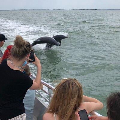 10,000 Islands Boat Excursion - 3.5-Hour Dolphins & Shelling Tour