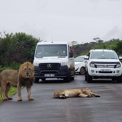 Hluhluwe Imfolozi Park And Isimangaliso Wetlands Park .st Lucia