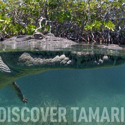 Tamarindo Estuary Tour