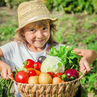 Hands-on Cooking Class & Farmhouse visit in the Amalfi Coast