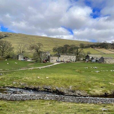 Private "All Creatures Great and Small" Yorkshire Dales Tour from York