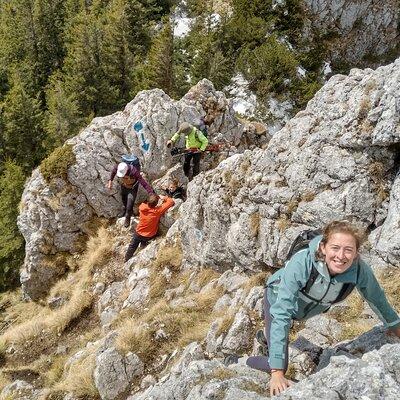 Piatra Craiului National Park Private Hiking Tour from Brasov