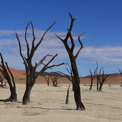 3 Day Sossusvlei Camping Schedule and Sandwich Habor