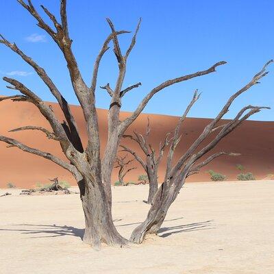 5-Day Tour to Namibia Desert Sossusvlei and Coast