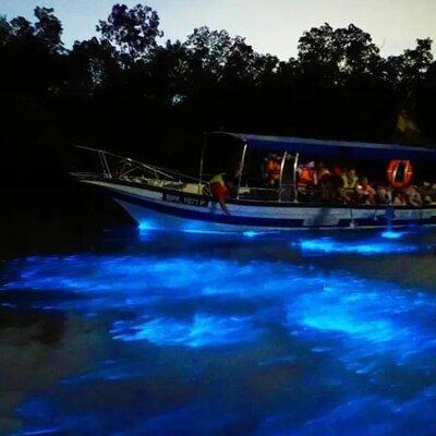 Amazing Fireflies With Blue Tears Watching & Kuala Selangor Tour