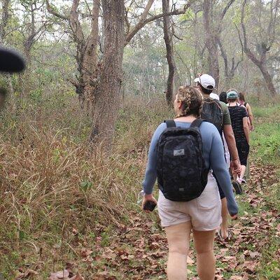 3-Day Chitwan National Park Jungle Safari Tour Package with Pick Up