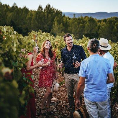 Provence Wine Tour - Small Group Tour from Nice
