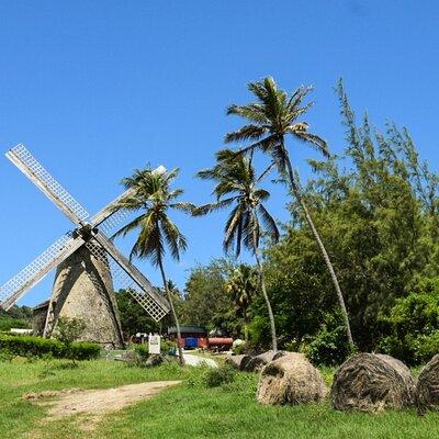 Barbados Shore Excursion: Bajan Highlights