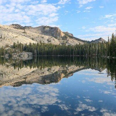 Yosemite and Kings Canyon National Park 2 Day Tour from LA