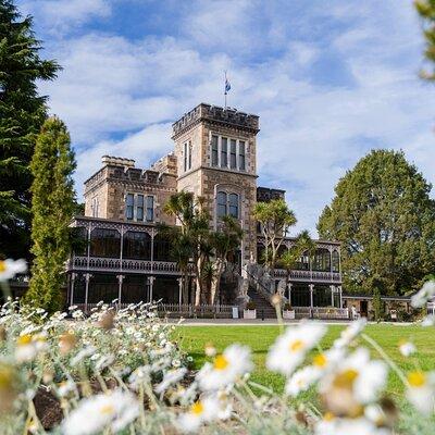 Dunedin Castle to Cruise Tour