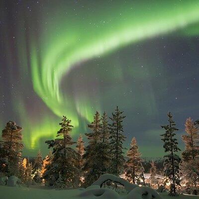 Aurora Borealis Tour in Kiruna - Lapland with Stejk Street Food