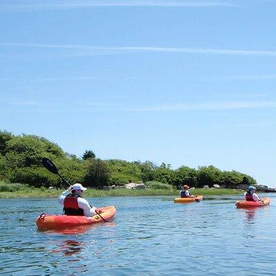 3 Hour Kayak/SUP Rental in Biddeford Pool