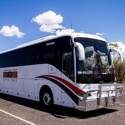 Alice Springs to Uluru (Ayers Rock) Coach Transfer