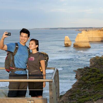 Full-Day Great Ocean Road and 12 Apostles Tour