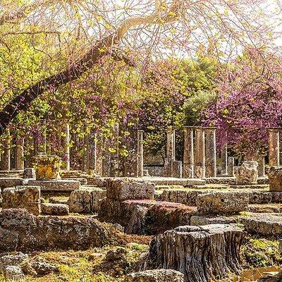 Private Excursion to Ancient Olympia - bee farm & winery