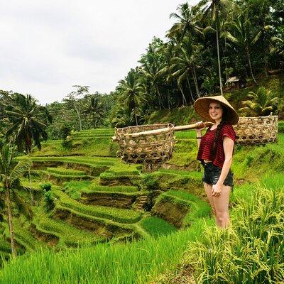 Best of Ubud 1-Day Private Tour