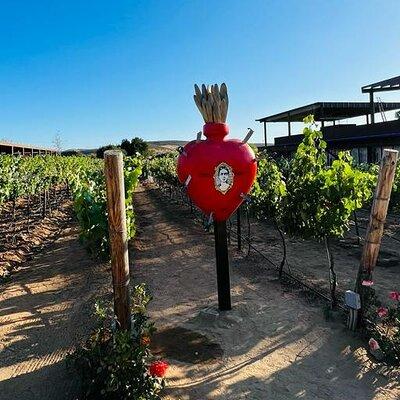 Full Day Tour on the Wine Route, Valle de Guadalupe