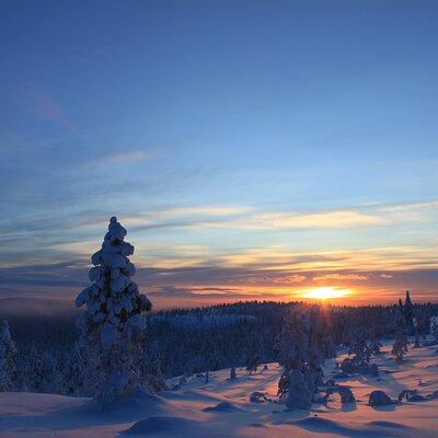 Snowshoe up a Mountain