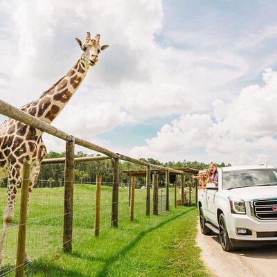 Wild Florida Drive-Thru Safari and Gator Park Admission