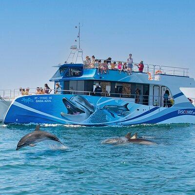 Dolphin Watching Half-Day Cruise from Lagos