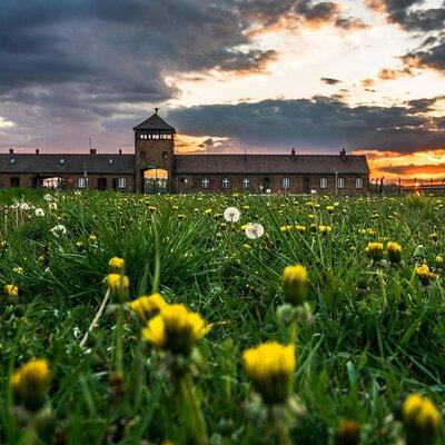 Guided Tour Krakow to Auschwitz-Birkenau with pickup options