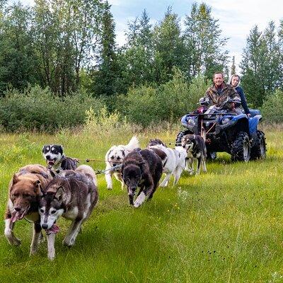 Private Kennel Visit and ATV Tour with the Huskies