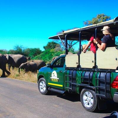 Overnight Kruger National Park Classic Camping Safari 