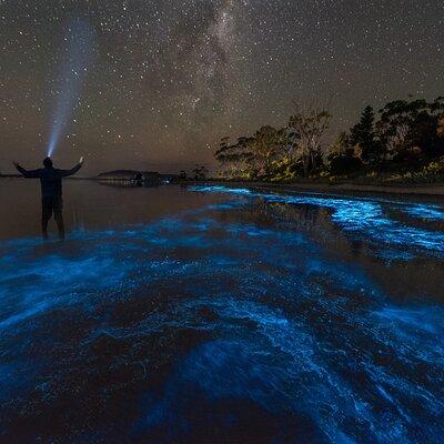 Central Florida Bioluminescent Kayak / Paddle Board Excursion 