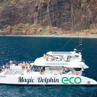 Madeira Dolphin and Whale Watching on a Ecological Catamaran