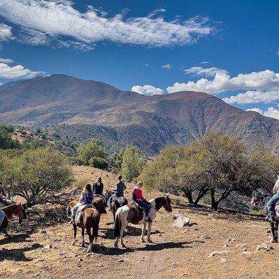 Authentic Andes Adventure: Private Horse Riding and Cheese & Wine