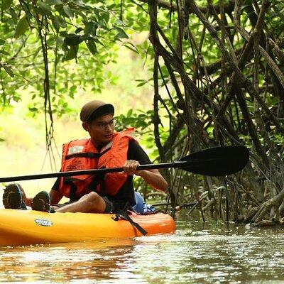 Lebam River Kayaking Adventure