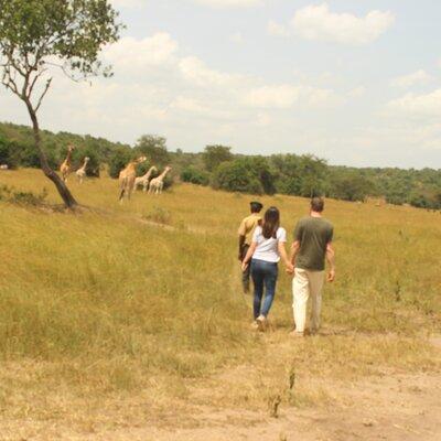 2 Day Lake Mburo National park wildlife Safari