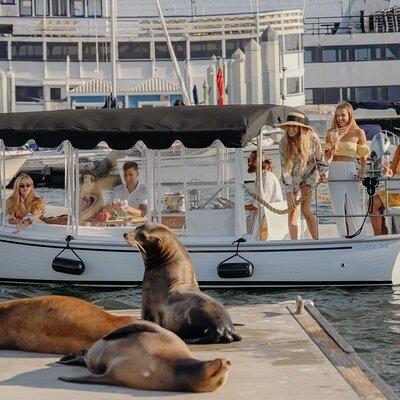 Luxury Shared E-Boat Cruise with Wine, Charcuterie & Sea Lions Spotting